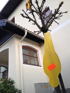 Kopfüber! Eine Aktion der Prossinger Werbeagentur in Elixhausen.