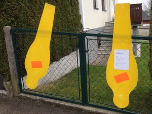 Kopfüber! Eine Aktion der Prossinger Werbeagentur in Elixhausen.