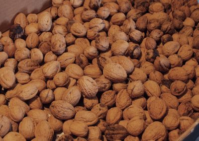 Trocken gelagert warten die Walnüsse auf ihre Weiterverarbeitung ...
