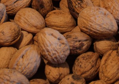 Per Hand wählen wir die schönsten Nüsse für den GOLDMOMENT aus ...