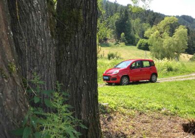 Prossinger Automobile: Fiat Panda 312