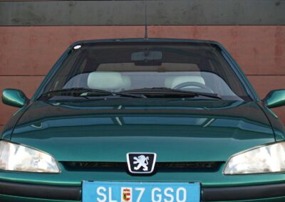 Peugeot 106 Roland Garros Unterbodenschutz Hohlraumschutz Fahrzeugsanierung Alterswert Politur Dinitrol